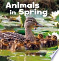 Cover image for Animals in Spring