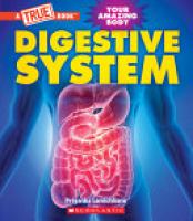 Cover image for Digestive System (a True Book: Your Amazing Body)