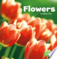 Cover image for Flowers