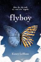 Cover image for Flyboy