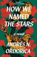 Cover image for How We Named the Stars
