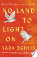 Cover image for No Land to Light On