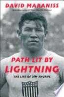 Cover image for Path Lit by Lightning