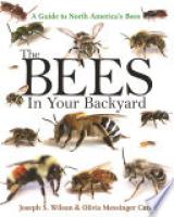 Cover image for The Bees in Your Backyard