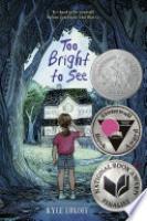Cover image for Too Bright to See