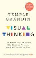 Cover image for Visual Thinking