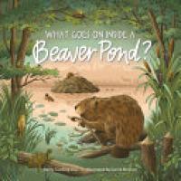 Cover image for What Goes on Inside a Beaver Pond?