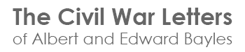 The Civil War letters of Albert and Edward Bayles