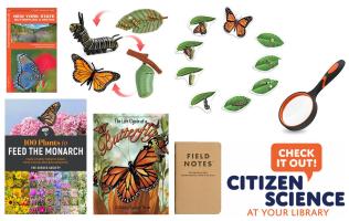 Citizen Science Kit: Mission Monarch