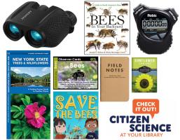 Citizen Science Kit: Observing Pollinators