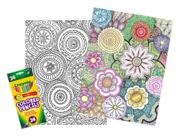 Make-It Kit: Cool Coloring