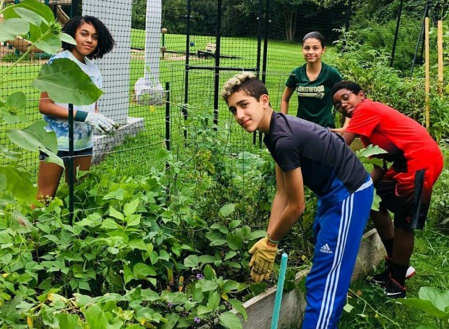 Teens at community garden