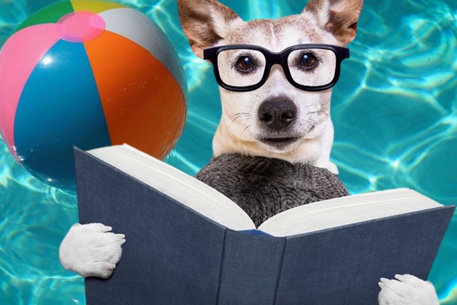 Dog Reading in Pool